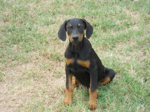 webassets/006.JPG